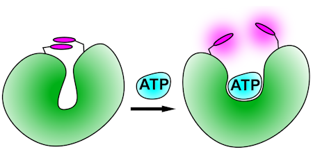 Thumbnail Image 1