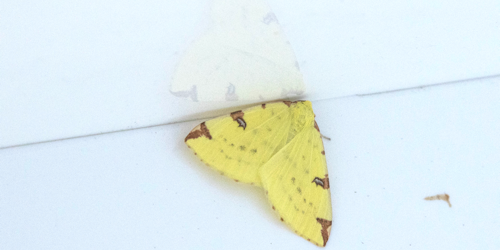 Thumbnail Image 1
