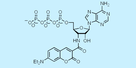 Thumbnail Image 1