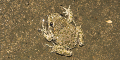 Thumbnail Image 1
