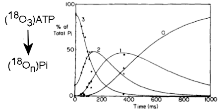 Thumbnail Image 1