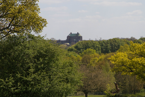 Thumbnail Image 1