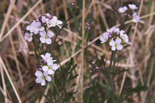 Thumbnail Image 1