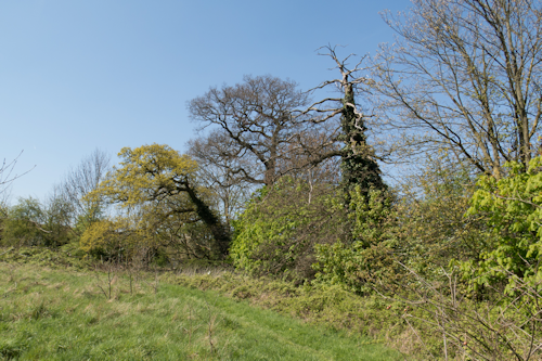 Thumbnail Image 1