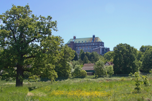 Thumbnail Image 1