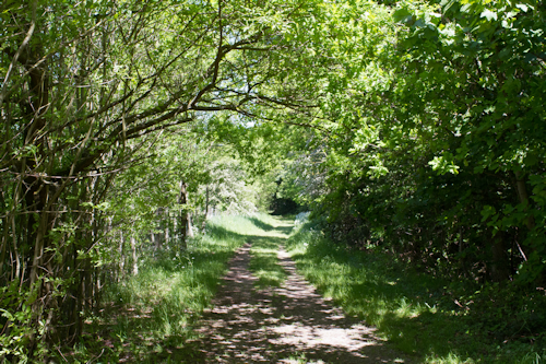 Thumbnail Image 1