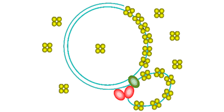 Thumbnail Image 1