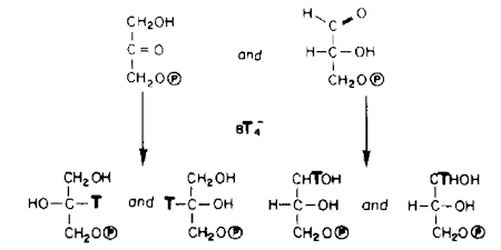 Thumbnail Image 1