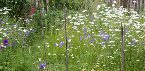 Thumbnail Image 1