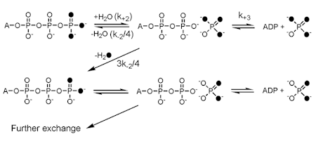 Thumbnail Image 1